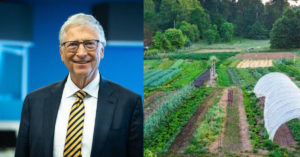 Bill Gates and his farm