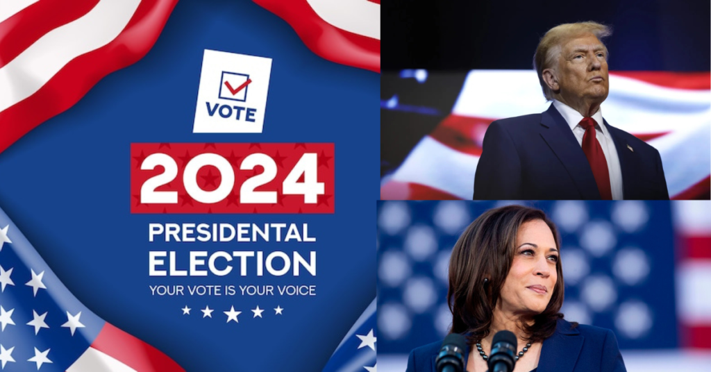 US election 2024 image