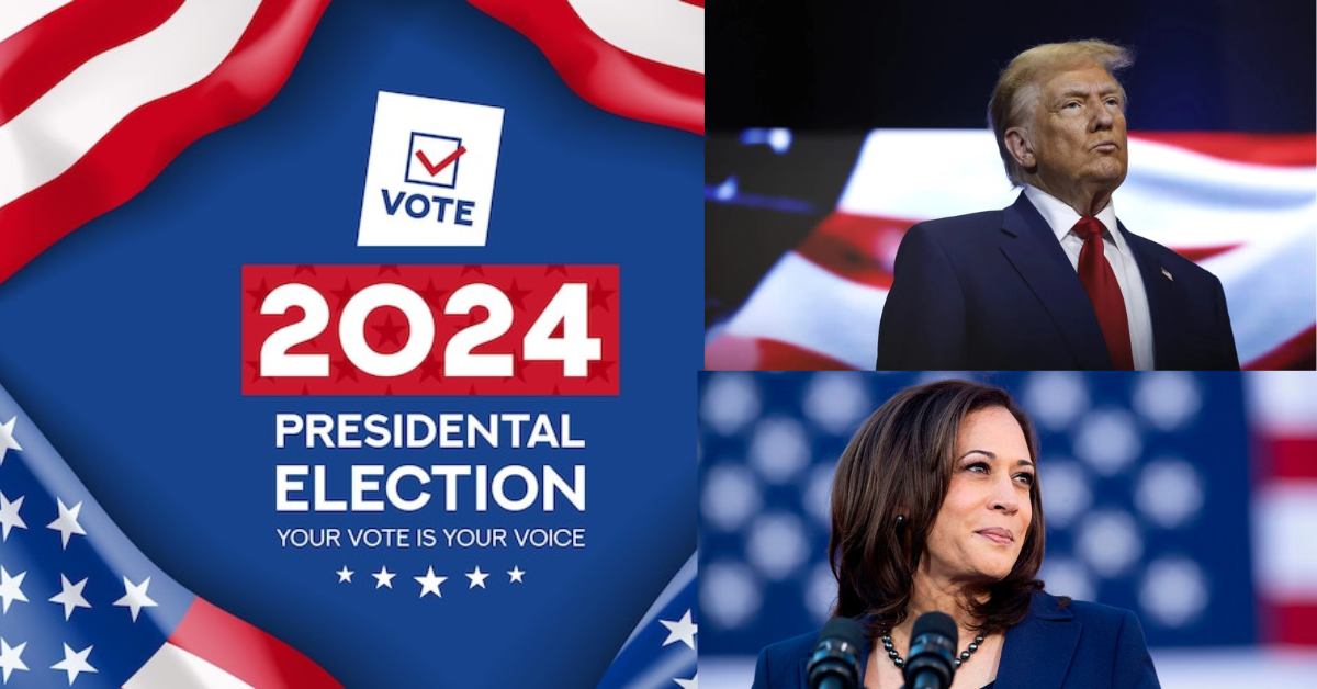 US election 2024 image